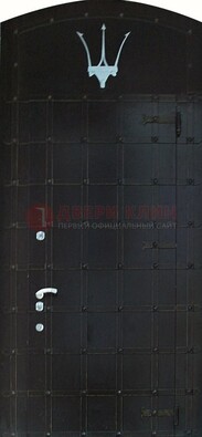 Металлическая арочная дверь ДА-22 высокого качества в Электростали