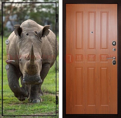 Металлическая дверь с фотопечатью носорога ДФ-31 в Электростали
