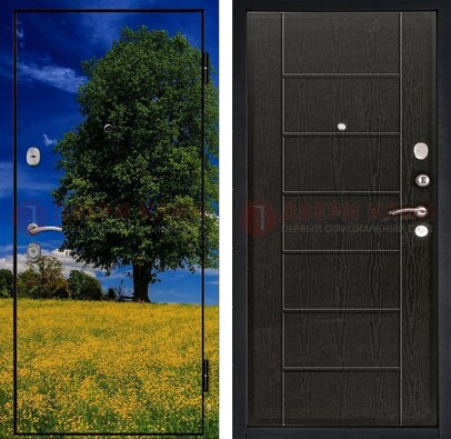 Железная дверь с фотопечатью дерева в поле ДФ-36 в Электростали