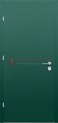 Зеленая стальная дверь с нитроэмалью ДН-6 в Электростали